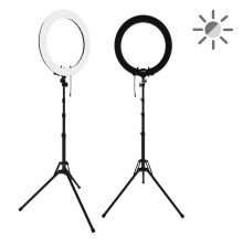 Кольцевая лампа ringO Prolamp (базовая)